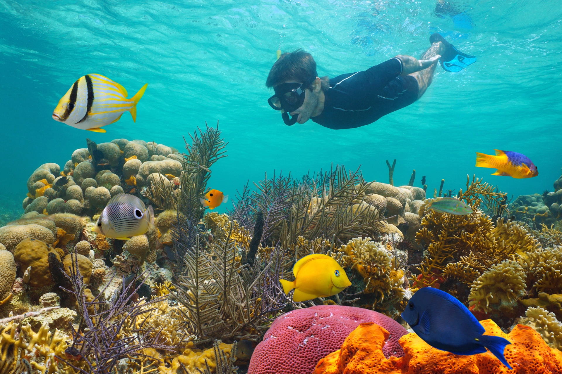 Expériences incontournables et aventures nautiques